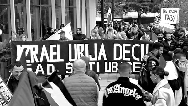 Koga zapravo podržavamo i protiv čega (ne) protestujemo kada (ne) šetamo za Palestinu?